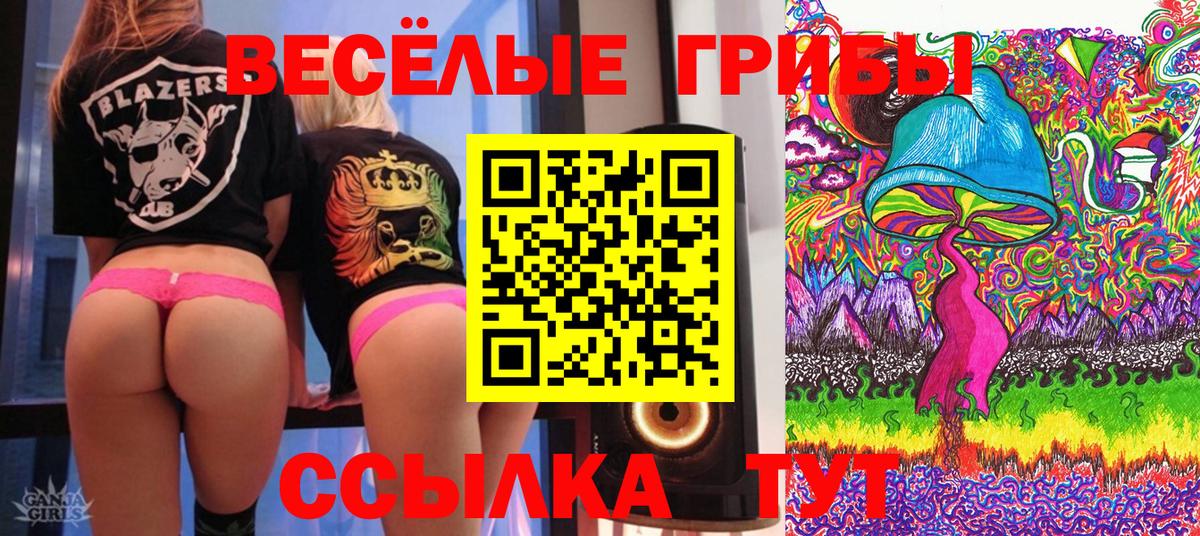 Псилоцибиновые грибы Psilocybine cubensis  Вход с VPN  Кимовск 