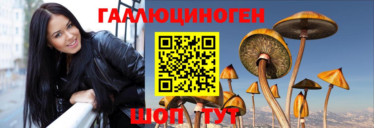 Псилоцибиновые грибы GOLDEN TEACHER Кимовск