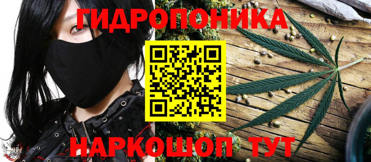 Бошки марихуана SATIVA & INDICA  Каннабис LSD WEED  Вход с VPN  Бошки марихуана тримм  Кимовск  Канабис Amnesia 